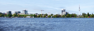 panalster.jpg